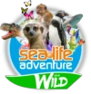 sealifeadventure.co.uk